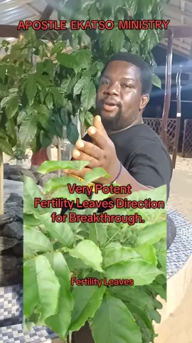 Does spiritual things not work for you? All you push for doesnt work? Do this very powerful Fertility Leaves Direction for your Breakthrough.  #GAGAWUGAGA #EFFATA 