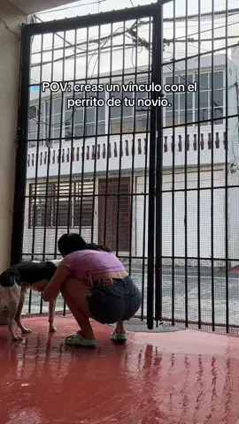 El mejor 2x1 que me pudo tocar.🐶 #foryoupage #parati 