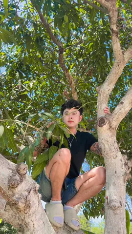 ดีนะที่อยู่สูง 🤣🤣🤣🤣