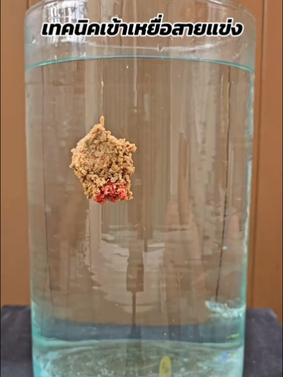 เทคนิคเข้าเหยื่อ #ชิงหลิว สายแข่ง แบบตกพร้อมอ่อย ที่มือโปรนิยมใช้ #ตกปลา  ชิ้นเกี่ยว - @Lew Lism - หลิวลิซึ่ม  เหยื่ออ่อย - @Lew Lism - หลิวลิซึ่ม  คลิปเต็ม - @Lew Lism - หลิวลิซึ่ม 