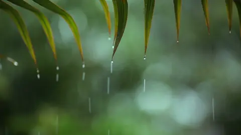 Take a moment to relax with this beautiful piano music 💚 Music: Peder B. Helland - You & Me #relaxingmusic #relaxing #calmmusic #soothingrelaxation #pederbhelland #nature #relaxingpianomusic #calmpiano #piano #pianomusic #meditationmusic #sleepmusic #relax #beautifulpiano