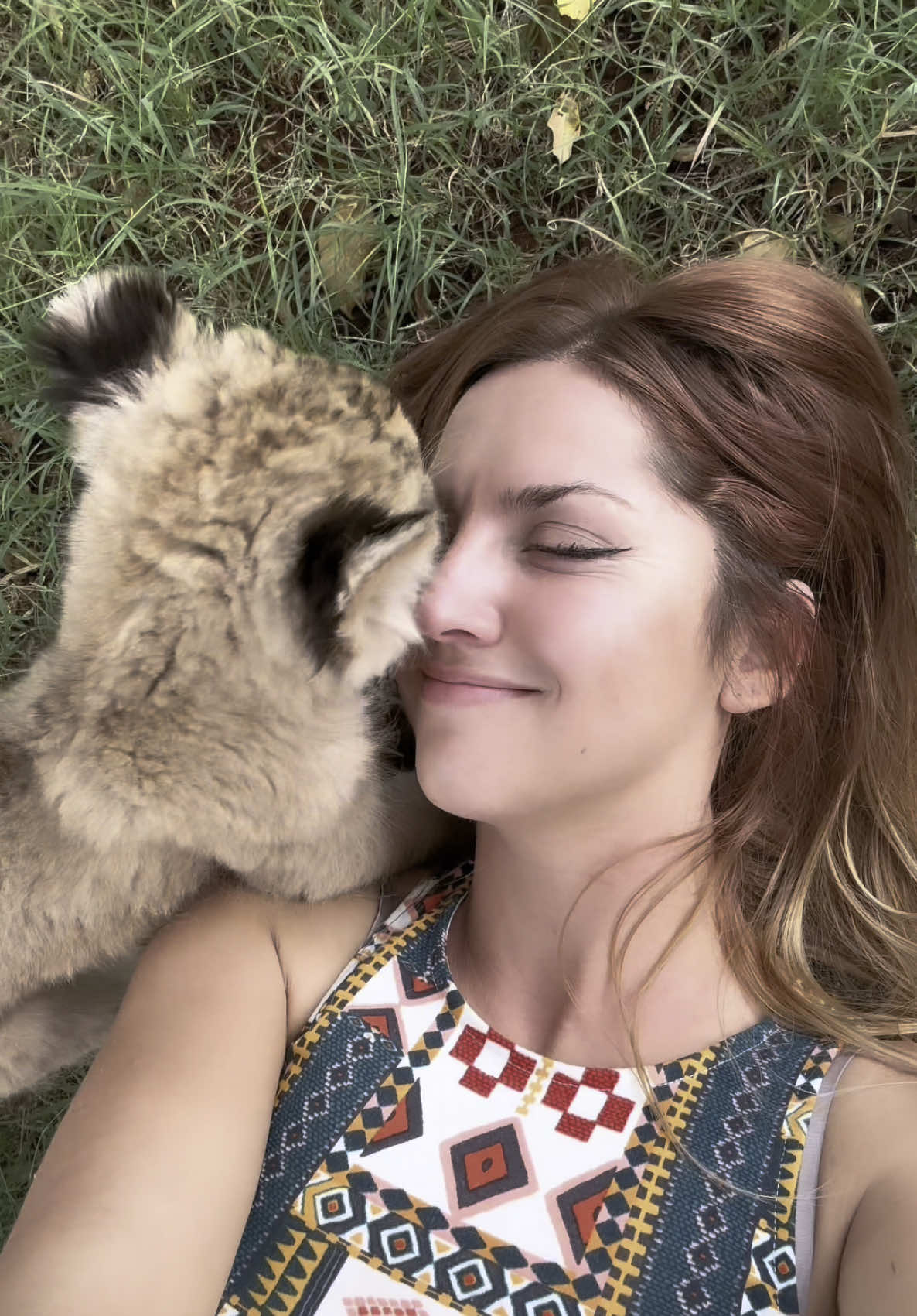 Cutest cuddles 🦁 #lion #fyp #wildlife 