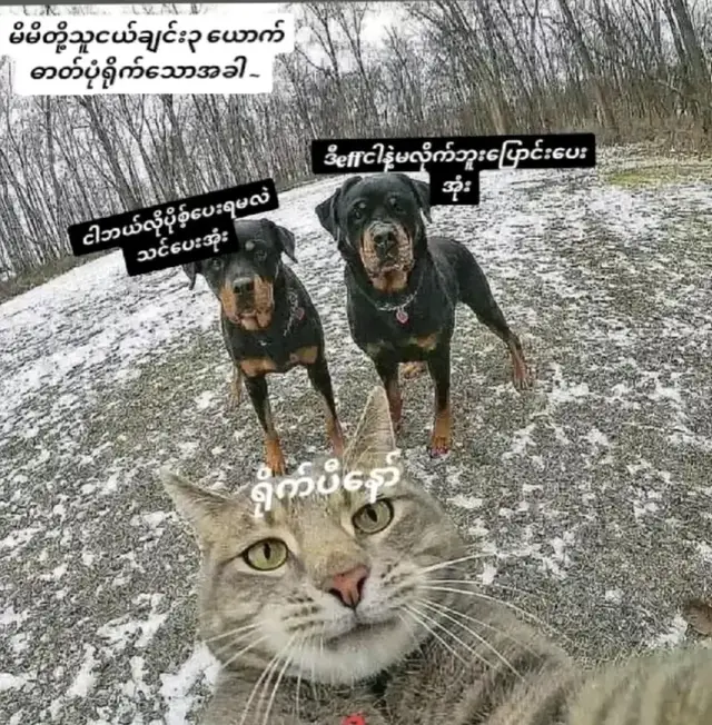 #သေခါနီးရုပ်နဲ့🤣 #မလှလဲကြည့်ကွာ🖤fyp 