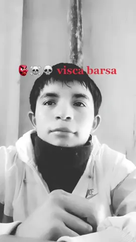 barsitas