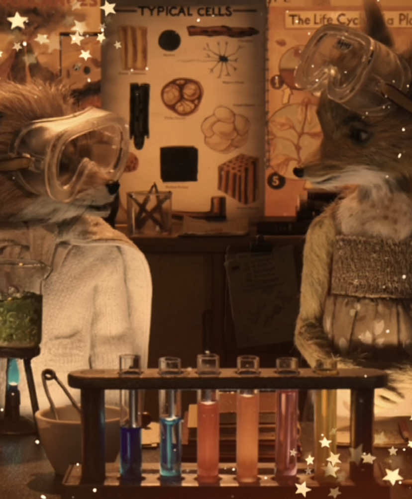 𐙚 #ashfox :: excuse my long break but heres the edit you've been waiting for 😼😼 :: #fantasticmrfoxedit #fantasticmrfoxmovie #wesanderson #roalddahl #stopmotion #simulationswarm #bigtheif #adriannelenker #edit #CapCut #fyp #mecore #fyppp #targetaudience #capcut_edit #blowup #moots? 