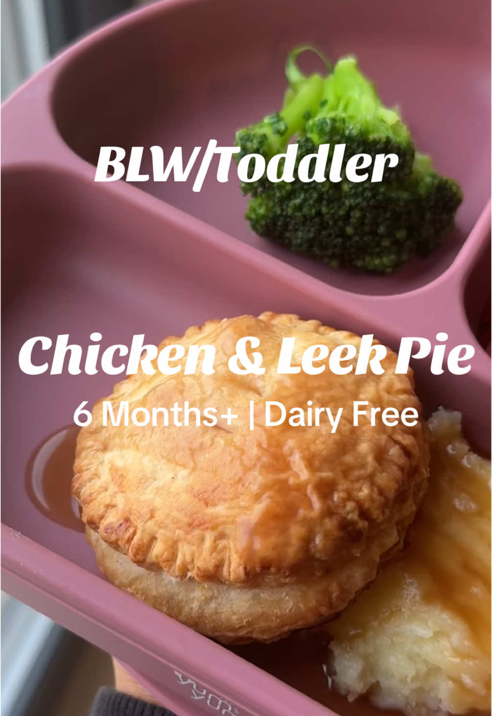 Baby/Toddler Chicken and Leek Pie 🥧 #blw #toddlerdinner #7monthsold 