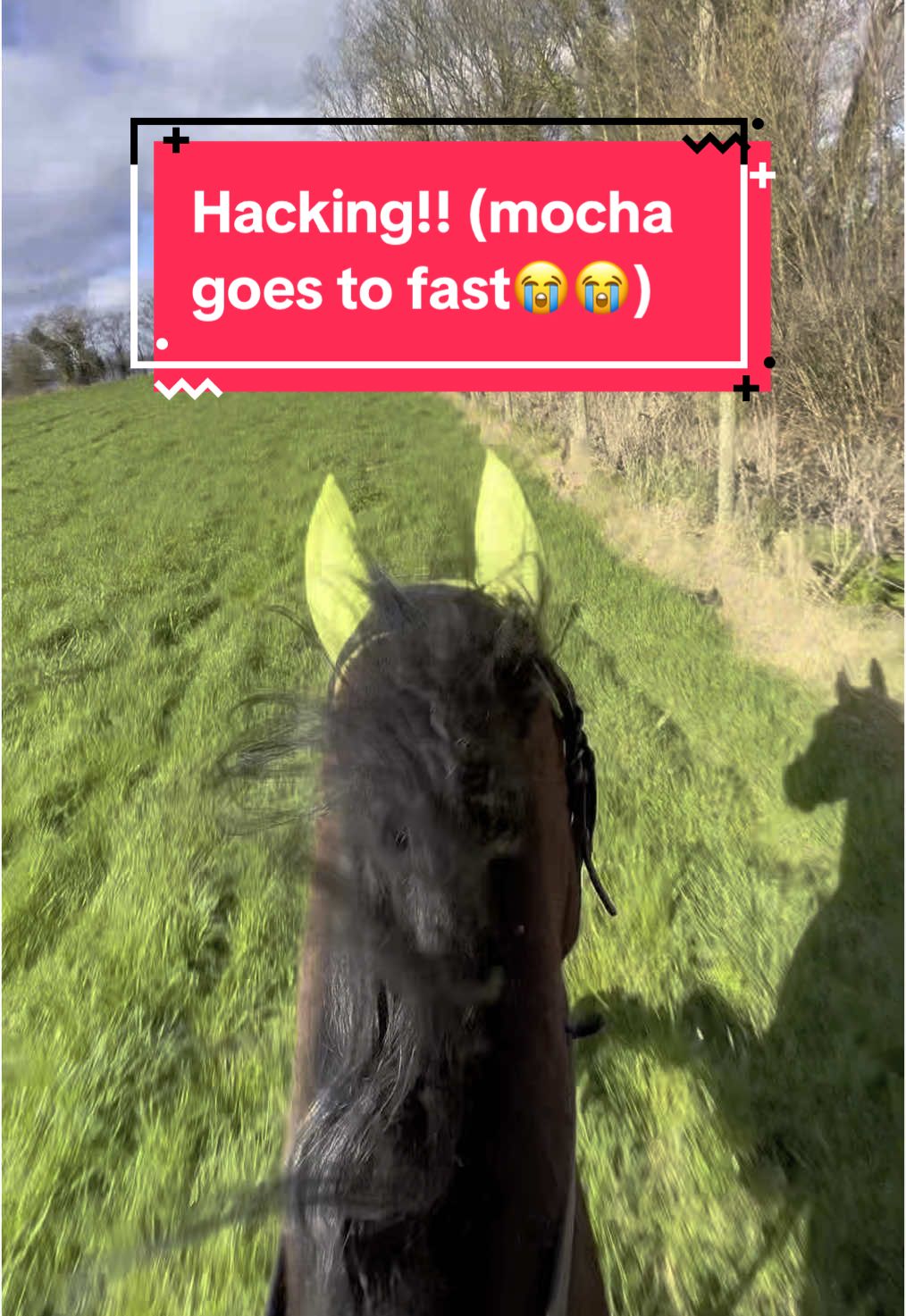 you can see the exact moment I started to panic #equine #equestrian #horsetok #horsesoftiktok #equestrianvibes #horsebackriding #horsegirl #fyp #foryou #abcxyz 