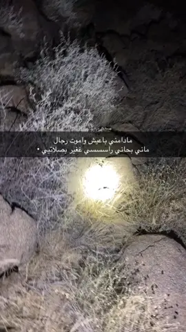 #مشاهدات #لايكات #اكسبلورexplore #1446 #العرضيات_شمران_ثريبان_العرضيه #مكشات 