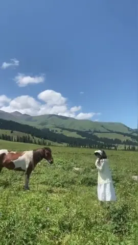 Don’t stand behind them #cat #catsoftiktok #catlover #usa🇺🇸 