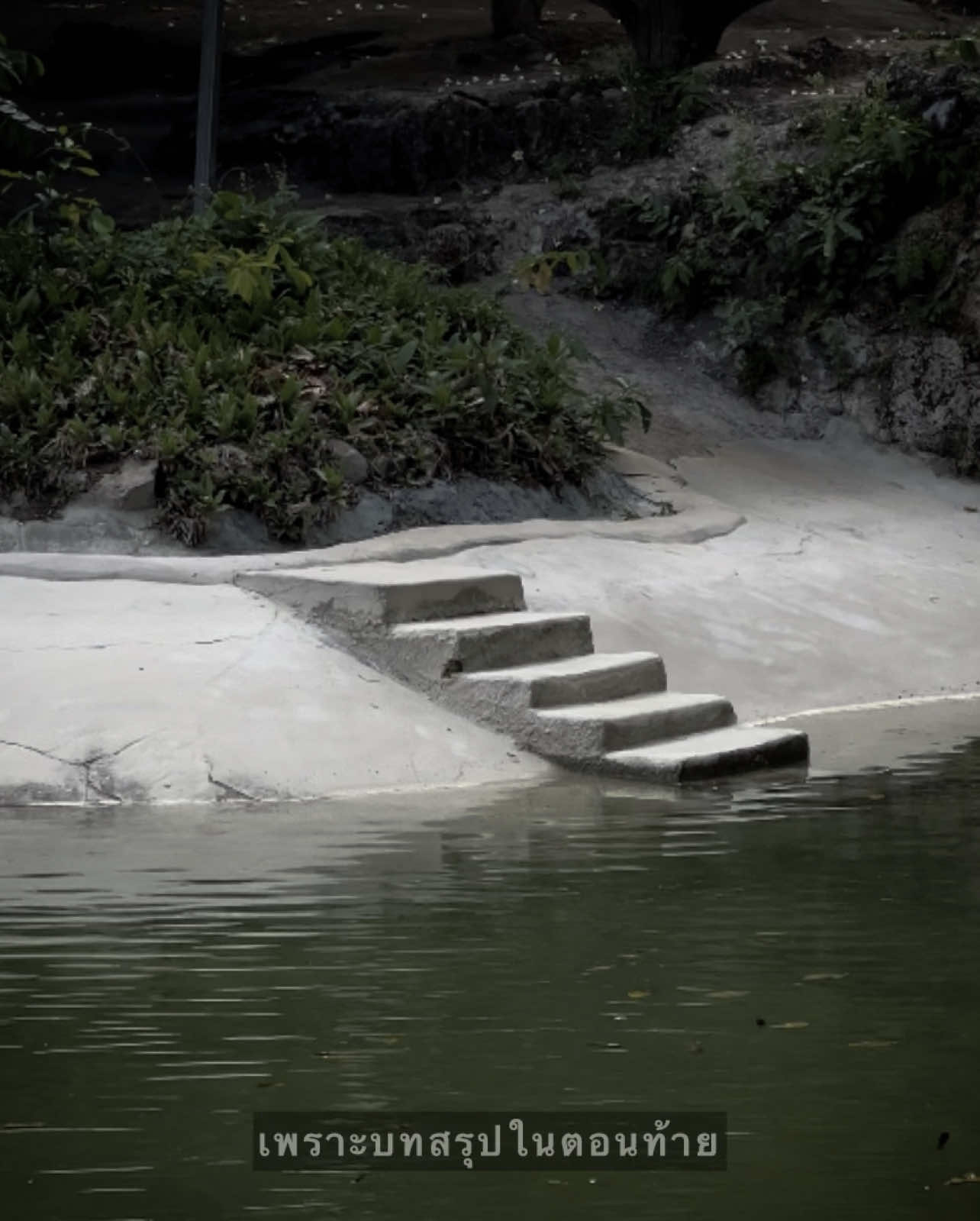 แค่คำว่า รัก ยังดูกระจอกไป 🙂🤍 #สตอรี่ #เธรด #เธรดความรู้สึก #เพลง #เธรดเพลง #เพชรบูรณ์ 