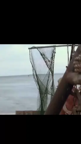 Wir haben unser Ziel erreicht!💪 Das Wochenende steht vor der Tür!  Egal wie beschi..en die Woche auch war! Klopft euch heute selber auf die Schulter und seit stolz auf eure Leistung! In diesem Sinne wünsch ich euch schon mal ein schönes Wochenende! #Motivation #Mindset #inspiration #funnyvideo #lustig #lustigevideos #arbeiten #funnytiktok #meme #freitag #wochenende #wochenendehochdiehände #fridayvibes 