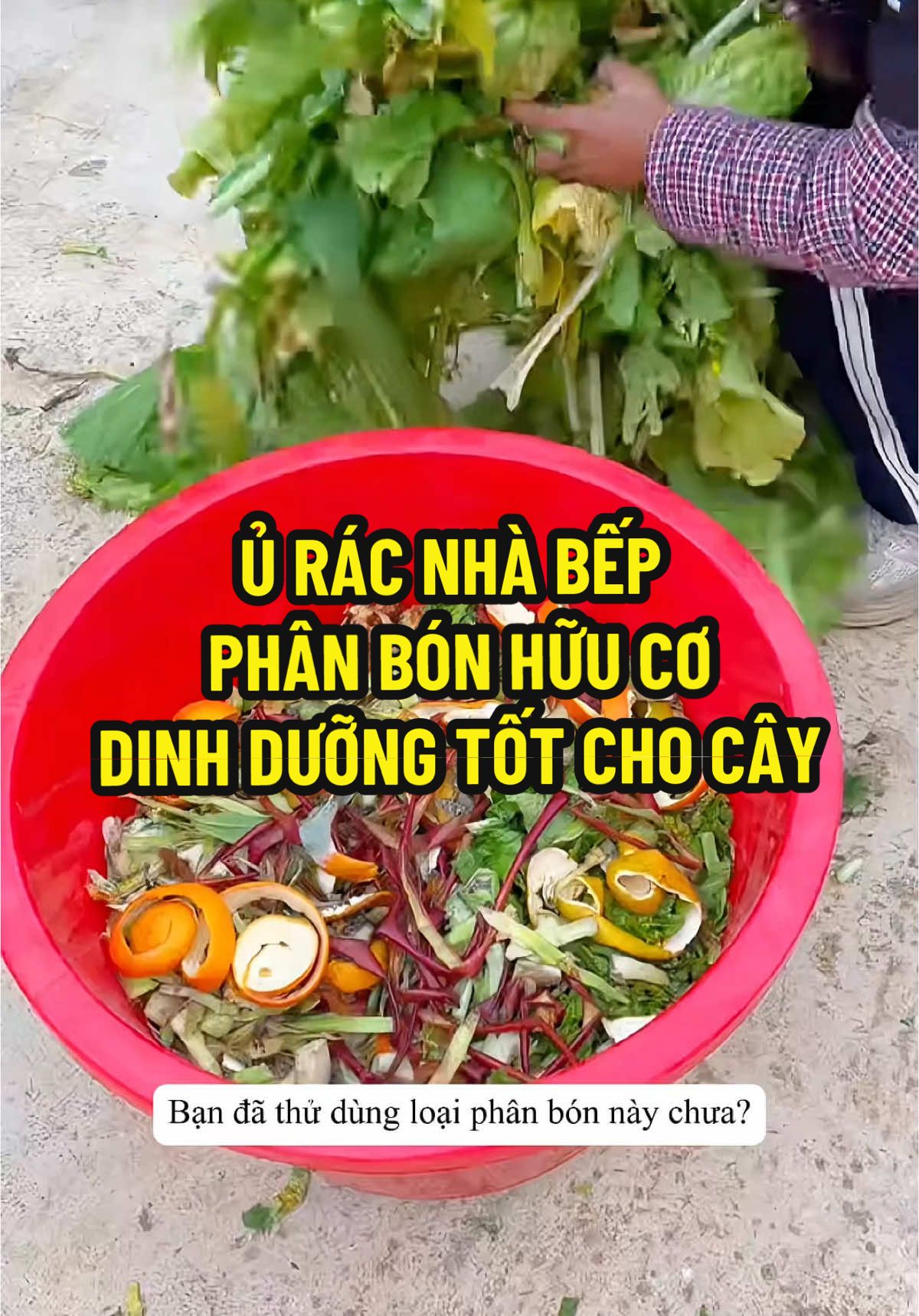 Phân bón hữu cơ(ủ rác nhà bếp)#hatgiong #hatgiongcaytrong #trongrau #daudaunongsan #trongrausach #xuhuong