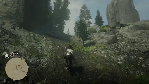 For anyone not sure how to collect bird eggs.  Use varmint rifle to shoot the nest down then walk over and collect bird egg from off the floor.  #birdeggs #nature #reddeadtiktok #reddeadredemption2 #reddeadonlineclips #rdonline #reddead #rdo 