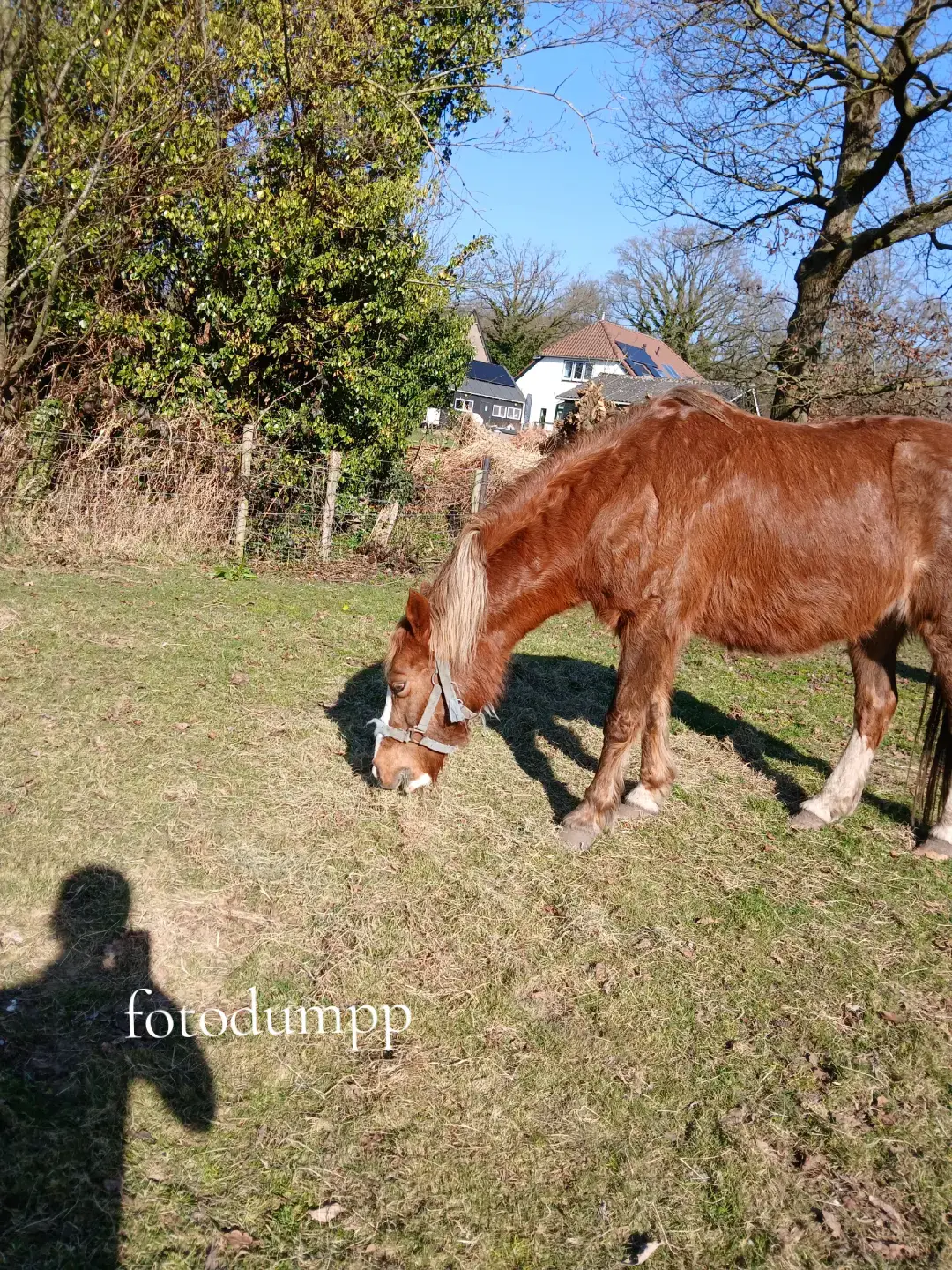 fotodumpiee  🙂🙂 @𝐍𝐎𝐎𝐑𝐓𝐉𝐄 & 𝐀𝐌𝐈𝐂𝐀 ❀  @Emmaatjee 