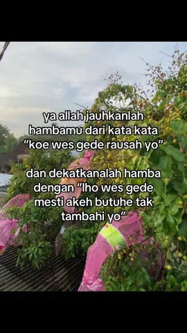 bismillah🙏🏻#serunyagayabareng #foryour #fypシ 