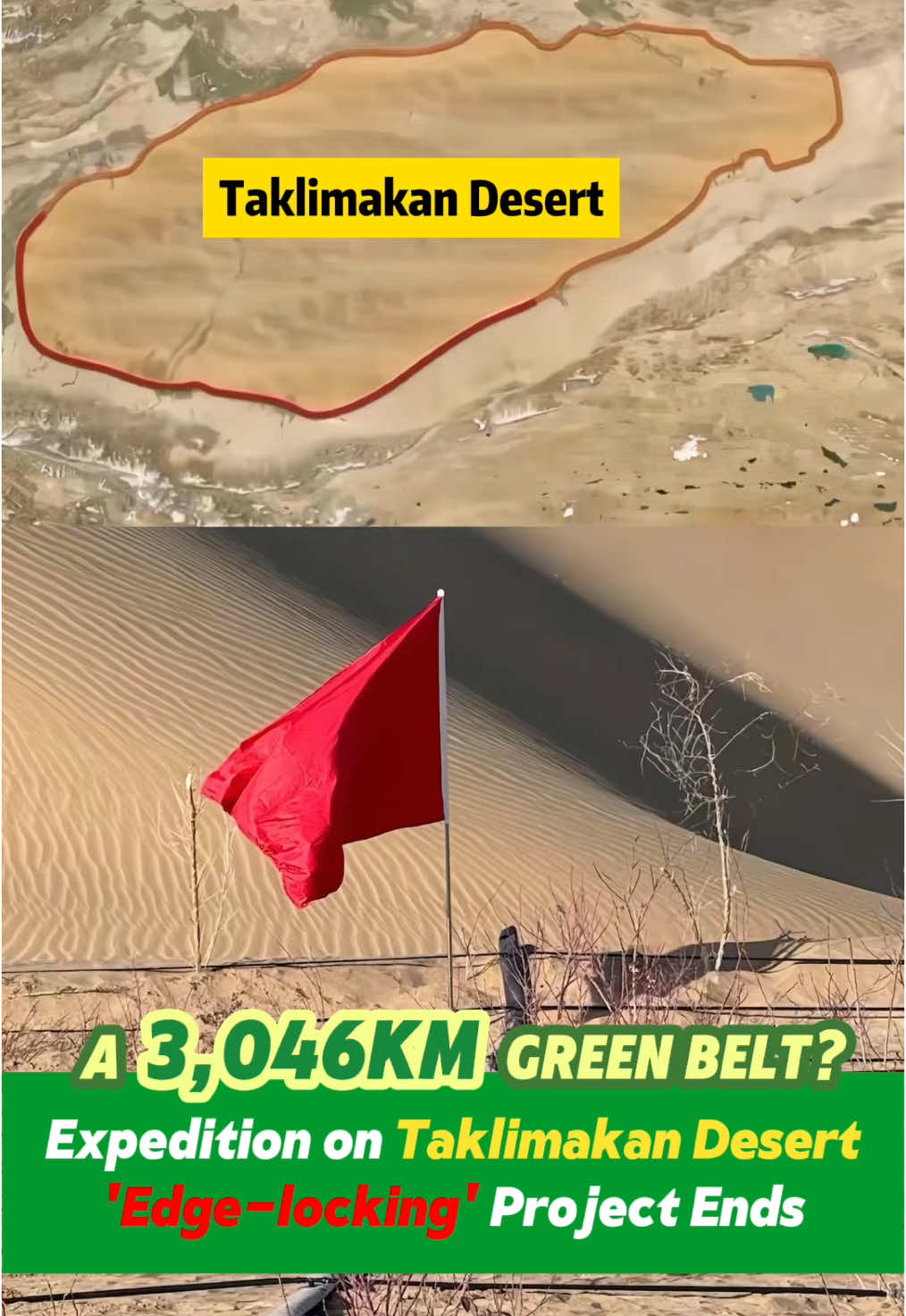 A 3,046 km green belt? Expedition on #Taklimakan #Desert 'edge-locking' project ends  #fyp #fypシ #china #chinatiktok #likechina #green #plant #research 