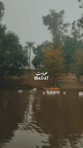 🥀سجدوں میں رویا جا رہا ہے  #foryoupageofficiall #foryoupage❤️❤️ #viral #ramzan #fyp #foryoupage #urdupoetry #urdushayari #urdu #urduquotes 