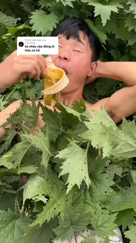 Trả lời @_fan_bailu_ 