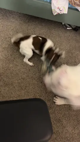 When you feel 9ft tall and bullet proof 🤣🤣🤣