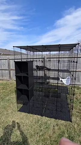 for the price this is awesome #catio #cat #springtok #giftguide #ttsdelightnow #ttshome #ttslevelup #creatorboostcamp #tiktokshopjumpstartsale #tiktokshoploveatfirstfind #lovelanguage #spotlightfinds #tiktokshopmemorialday #tiktokshopcreatorpicks 