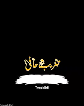 mujhe lagta hai behno SE ziyda wafadar koi nhe hota Tehzeeb Hafi 📚#foryou #foryoupage #urdupoetry #tehzeebhafi #tehzeebhafipoetry #1millionaudition #unfrezzmyaccount #fyp #tehzeb_ 