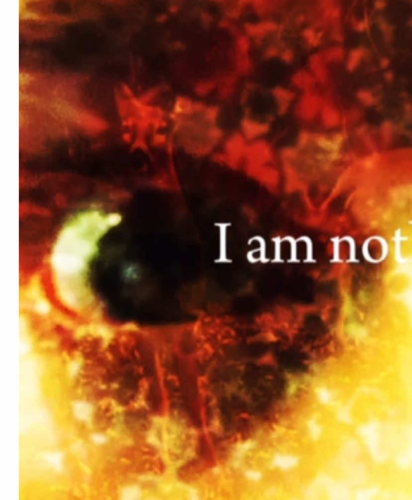 can’t stop making weird ass vent edits #vent #derealization #originaledit