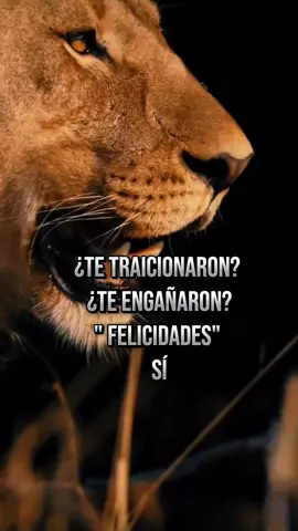 #latinosunidos🐺🦅 #🐺🦅 #❤️ #lobo🐺 #🐺❤️🦅🙏 #aguila 