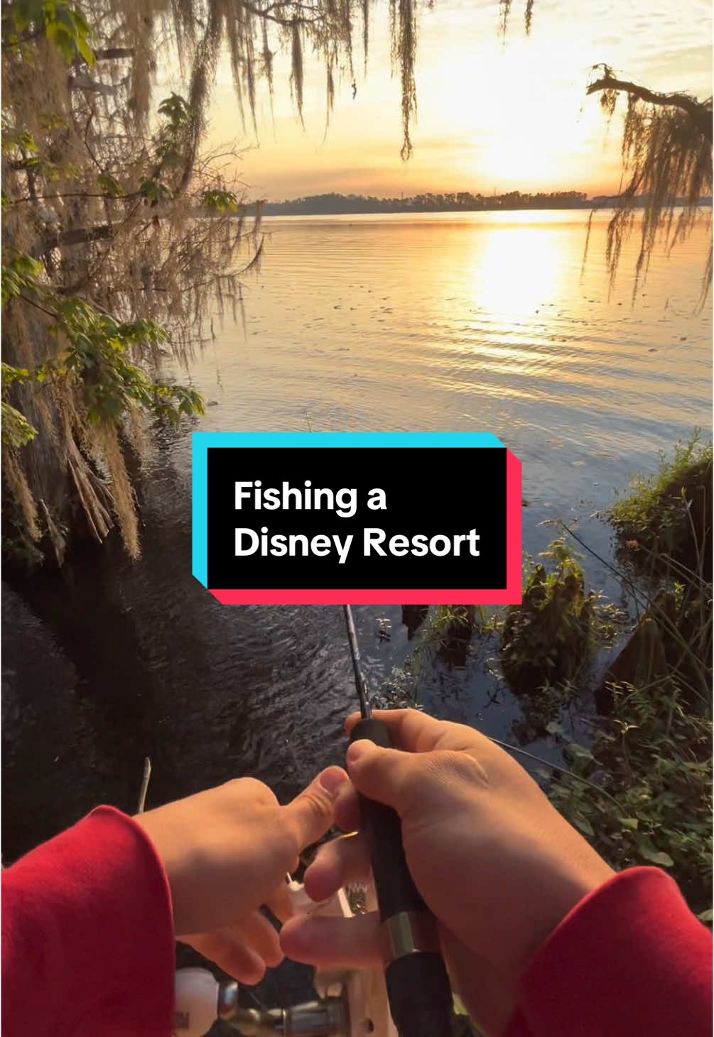 Fishing on a Disney resort 😱 #fishing #fishingvideos #bassfishing 