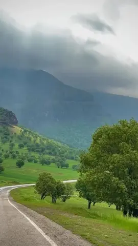 Lush green view of valley tirah❤️🌸🍂 .