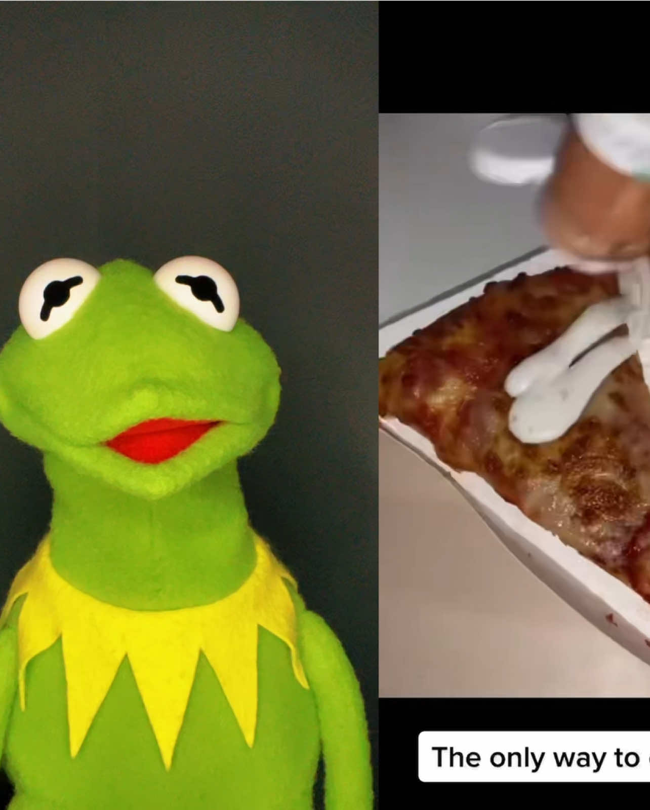 #duet with @thisplaceiscool 🗣️ - “NOOOOOO” #kermitthepuppet #Pizza #memes #kermitthefrog