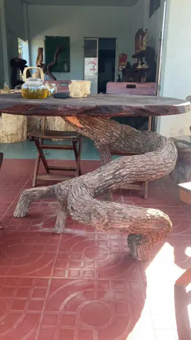 Mưa có rơi nắng có phai#xuhướngtiktok2024 