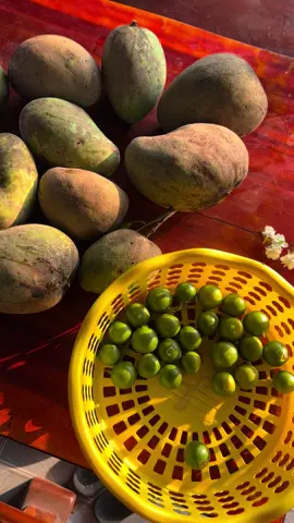 Cứ sống tốt trời xanh tự khắc có an bài 