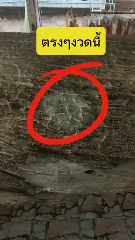 🙏✅เลขเด็ดแม่ตะเคียน #เลข #เลขเด็ดๆ #โชคลาภ #สายมูเตลู #แม่ตะเคียน #ติดกระแส #ขึ้นฟิตเถอะ #เทรนวันนี้ 