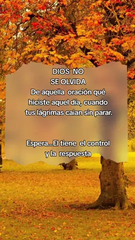 #graias #reflexiones #oracion #palabrasdefe #dios 