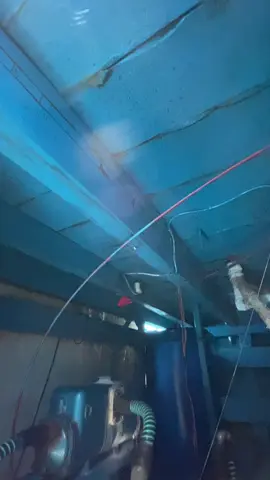 P,info balap😂😂#fyp #salamsatujangkar #xybca #pelautindonesia #tunasiripkuning #pelautmuda 