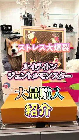 おーはーよみんな🤸❤️今回の動画は私の珍しく本気ガンギマリの購入品紹介です！ストレスが溜まるとポーーんと後先考えず使うタイプです〜🤸🤸✨ま、いっか🤣良かったらご覧ください🙇‍♀️🌈❤️ #パグのいる生活 #ファビュラス様 #日常vlog #ペコピノさっちゃん #お買い物vlog #購入品紹介 #爆買い #ルイヴィトン#ジェントルモンスター #カイカイキキ#louisvuitton #村上隆コラボ#開封動画#パグ 