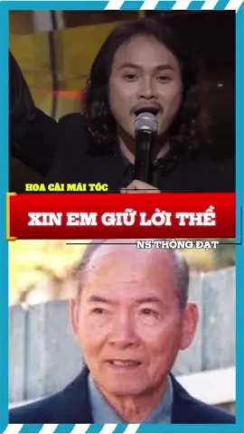 HOA CÀI MÁI TÓC - Sáng tác Thông Đạt - Thể hiện Nguyễn Việt Hà. Bài hát được sáng tác vào đầu năm 1973 tại Sài Gòn, là dịp hiệp định Paris được ký kết, trong niềm hy vọng rằng lửa binh sẽ kết thúc và hoà bình được lập lại trên quê hương sau nhiều năm đau khổ #hoinhacsivietnam #nhachaymoingay #tiktoklive #fpy #fyp