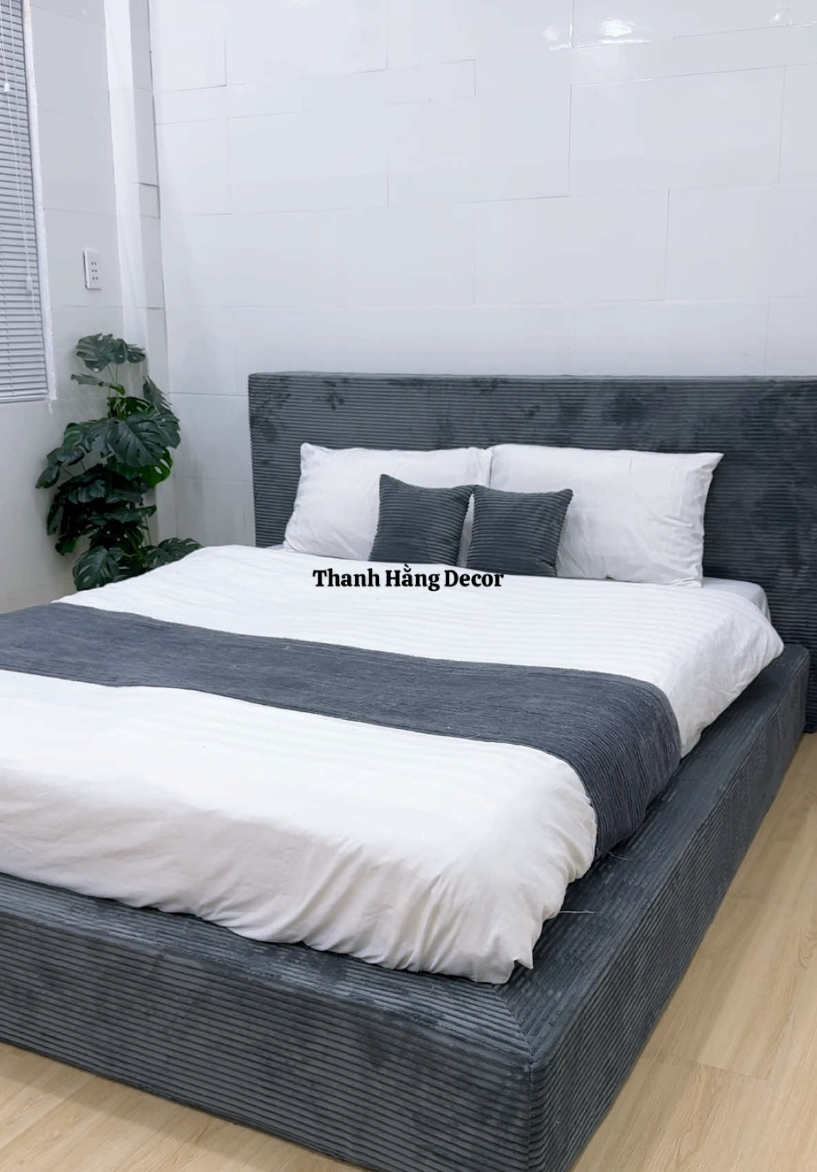Giường kẹo dẻo vuông xám nhung tăm đậm #giuongkeodeo #giuongpallet #giuonglaprap #decorphongngu #giuongngudep #viral #xuhuong 