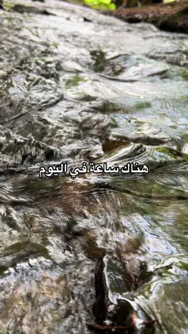 #احمد_الشقيري #سين3 #رمضان #رمضان_يجمعنا #خواطر #احمد_الشقيري،، احرص على صلاة الفجر 