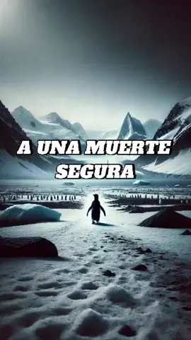 Pingüino deja a su colonia 🐧💔  #documental #ciencia #pingüino #extincion 