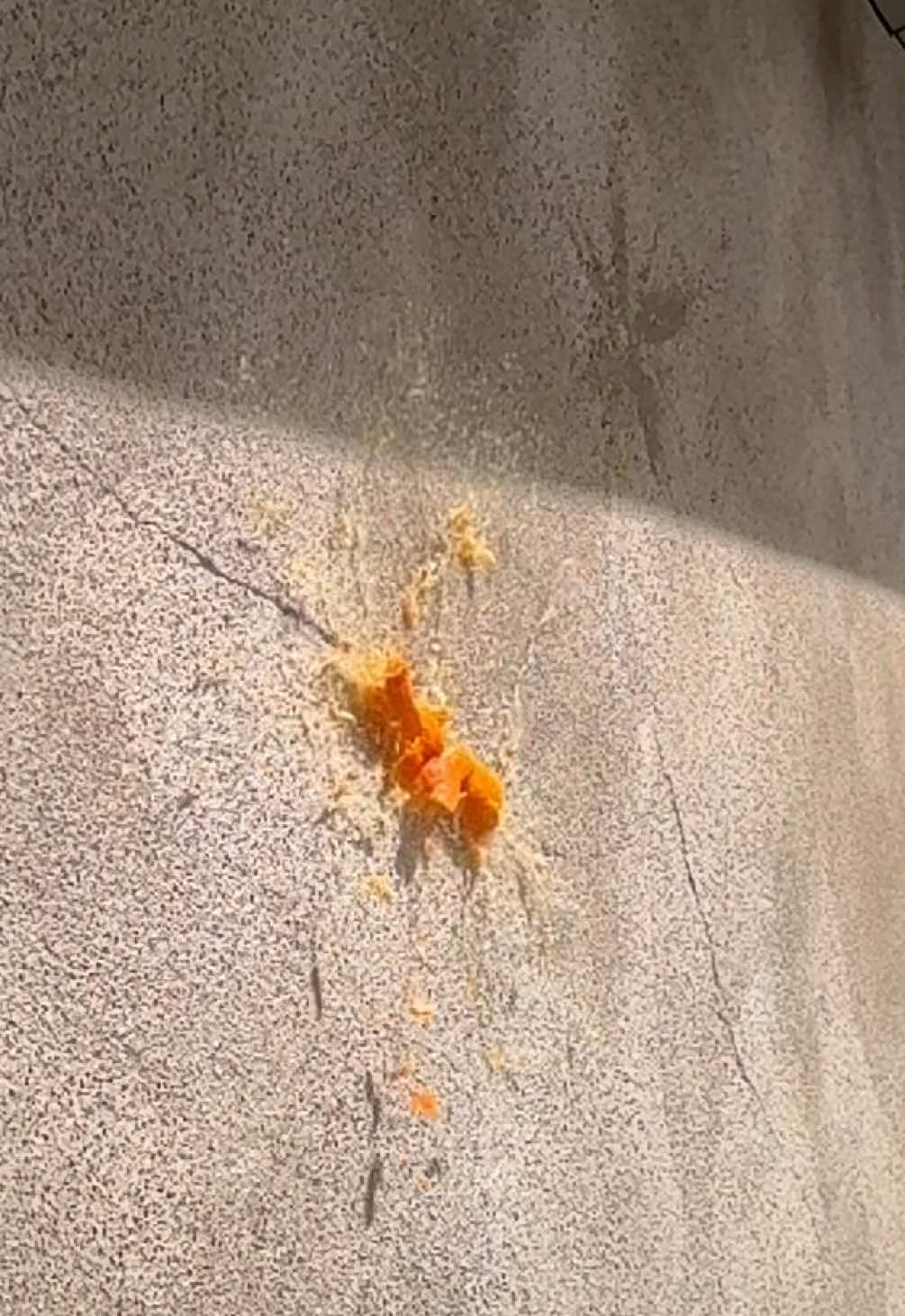 for my male audience