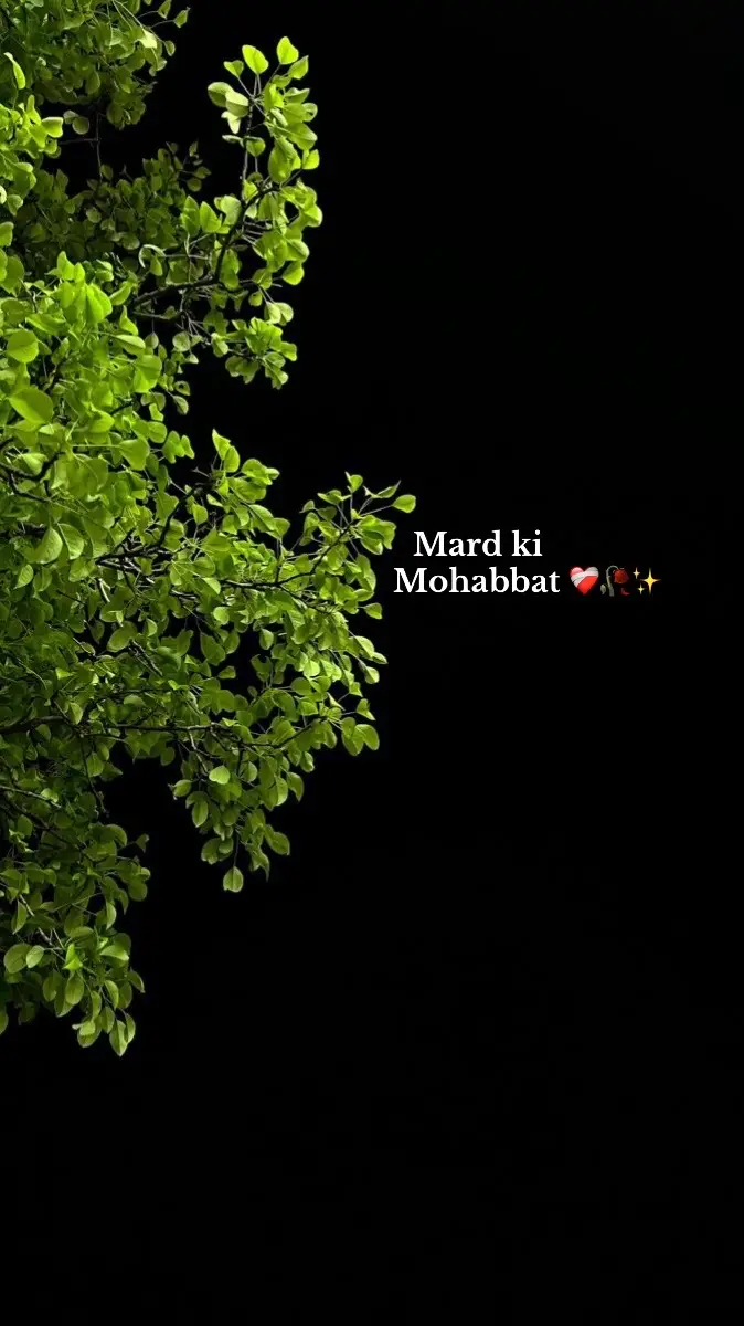 Mard sirf mohabbat nahi karta, balki us mohabbat ki har zimmedari uthata hai. Uske liye pyaar sirf meethi baatein nahi, balki ek ehsaas hota hai jo nibhana padta hai, har halaat me, har mushkil me. Jab ek mard mohabbat karta hai: Wo sirf ek Aurat ka hota hai - Uska dil sirf ek baar aur sirf ek ke liye dhadakta hai. Wo kisi aur ki taraf dekhna bhi gunah samajhta hai. Wo kisi aur Mard ko bardasht nahi karta -Uski mohabbat sirf usi ki hoti hai, jise uSne apna kaha. Wo kisi aur ko uske kareeb dekh bhi nahi sakta. Mohabbat nibhana janta hai - Wo mohabbat sirf lafzon me nahi rakhta, balki har mushkil me apni mohabbat ka saboot deta hai. Aaj kal ke daur me Mard par bohot si zimmedariyan hoti hain-ghar ki, career ki, duniya ki-but ek loyal Mard in sab cheezon ke bawajood apni mohabbat ko kabhi nazarandaz nahi karta. Chahe wo kitna bhi masroof ho, kitni bhi mushkilen kyun na hon, wo apni mohabbat ka saath nahi chorhta. Agar koi tumhare saath loyal hai, to usko kabhi mat chorna - Zindagi me majburiyanzaroor hoti hain, halaat badal jate hain, magar jo shaks tumse bewafa nahi, uski kadar karna Kyunki mohabbat har kisi ko nahi milti, aur agar mil bhi jaye, to wafa karne wale bohot kam milte hain. Uska intezar sacha hota hai - Agar zindagi kisi mod par door le bhi jaye, to bhi wo waisa hi mohabbat karta hai jesa pehle din ki thi. Agar tum uski qadar nahi karogi, to shayad wo chala jaye - Aur jab ek loyal Mard chala jaye, to phir laut kar nahi ata. Phir tumhe samajh aayega ke asli mohabbat kya hoti hai, magar tab shayad bohot dair ho chuki hogi. Agar aisa Mard tumhari zindagi me hai, to samajh lo wo ek naimat hai. Wo tumhe har namaz me maangta hai, har dua me tumhara naam leta hai. Uski mohabbat sirf ek jazba nahi, balki ek dua hai jo har waqt tumhare saath rehti hai. Mard tabhi zinda ho kar bhi mar jata hai, jab wo apni mohabbat ko kisi aur ke saath dekh leta hai. Jo mard sachay dil se mohabbat karta hai,uske liye wo sirf ek shaks nahi hoti-balki uski duniya hoti hai, uska sukoon hoti hai. Jab uski mohabbat kisi aur ki ho jaye, to wo saans to leta hai, magar andar se mar jata hai. Uska dil tootta nahi, bikhar jata hai -Mohabbat sirf ek rishta nahi, ek ehsaas hota hai. Jab wo ehsaas toot jaye, to phir us mard ke andar kuch bhi bagi nahi rehta. Wo sab kuch seh sakta hai, magar bewafai nahi - Zindagi ki har mushkil uthana asaan lagta hai, magar mohabbat me bewafai sehna ek mard ke liye maut se badtar hota hai.Uski aankhon me aansu nahi aate, magar uska dil ro raha hota hai - Ek mard apna dukh sab se chhupa sakta hai, magar apne dil ka dukh khud se nahi chhupa sakta. Wo raaton ko chupke rota hai - Din bhar sab ke samne muskurata hai, magar jab tanhai hoti hai, jab andhera hota hai, tab uski aankhein bhar aati hain. Wo kisi ko nahi batata, magar har raat sirf ek hi soch me doob jata haj-