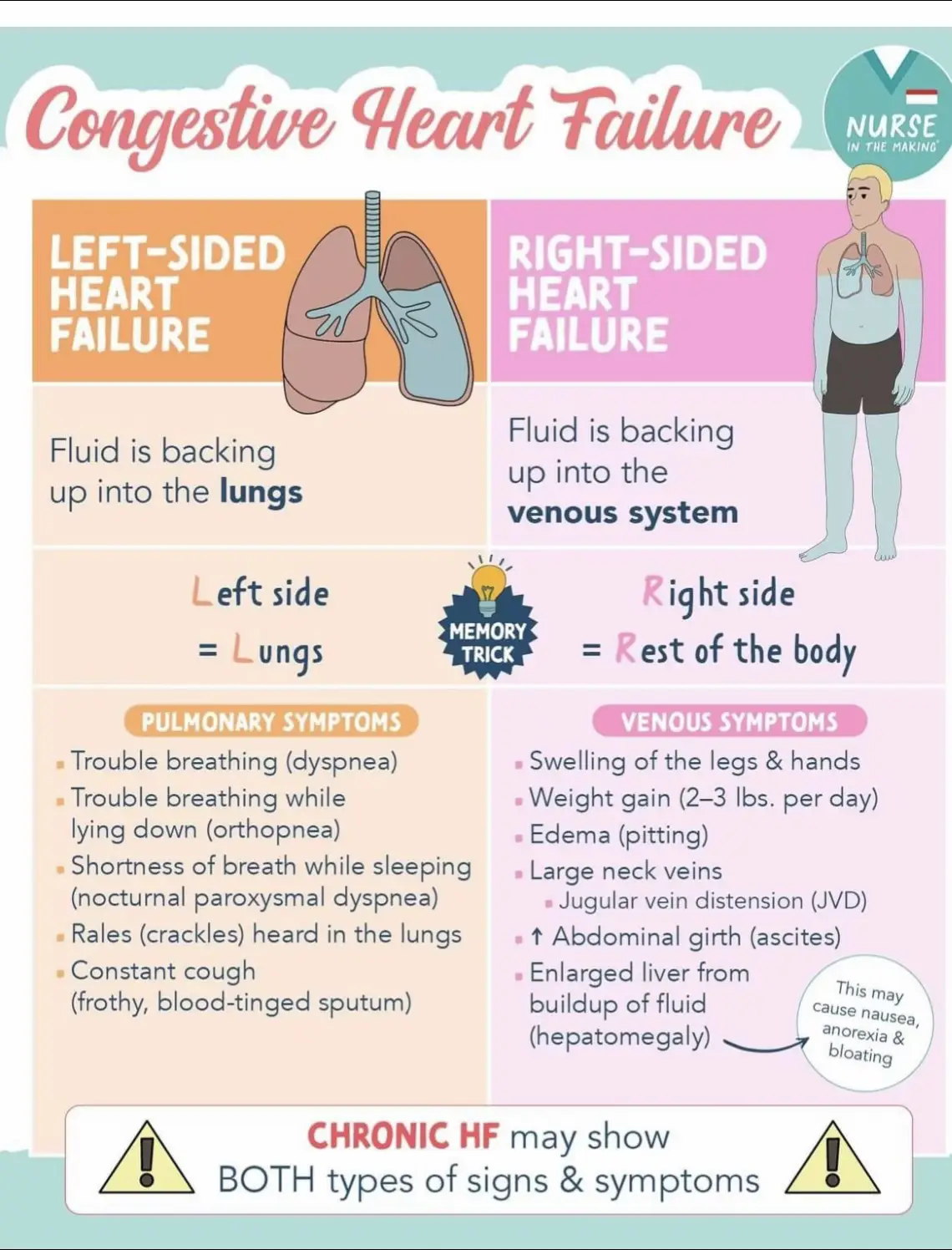 #nclex#nclexrn#nclextips#nursingstudentsoftiktok#foryoupage❤️❤️❤️❤️#futurenursesoftiktok#futurenurses#manifestationtips#rn 