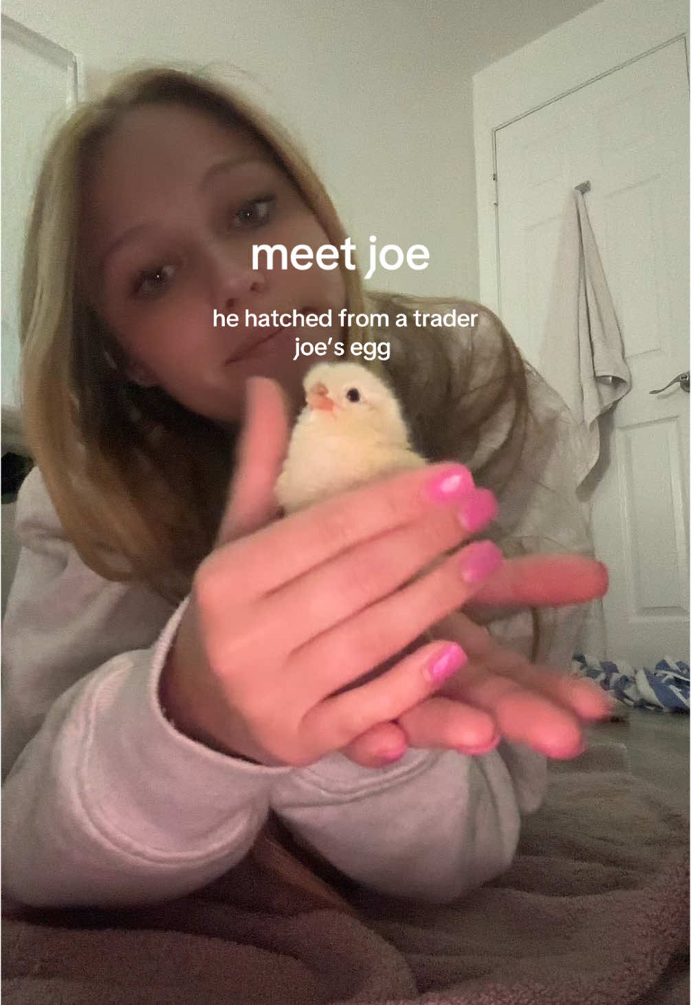 the most precious thing 🐣🐥 #traderjoes #traderjoeshaul #babychicks #chicken #egg 