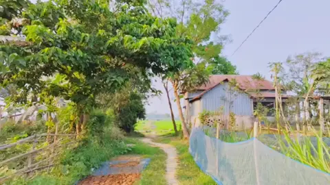 bagan sajaw🙂#grow #viralvideo #thikase #foryou 