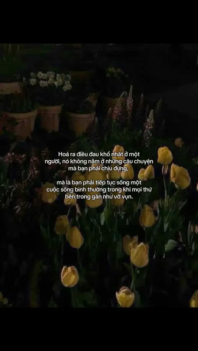 #nhacbuon #tamtrang #fyp #xuhuong 