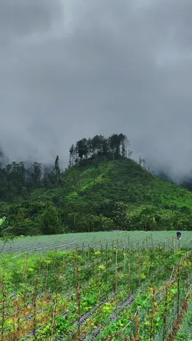 Ada yang pernah lewat sini nggak 🪐