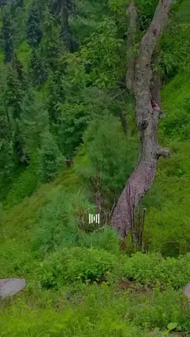 #foryoupage❤️❤️🥀🥀 #viral_video #viral_video_tiktok #foryoupage❤️❤️ #quran_alkarim🥰 