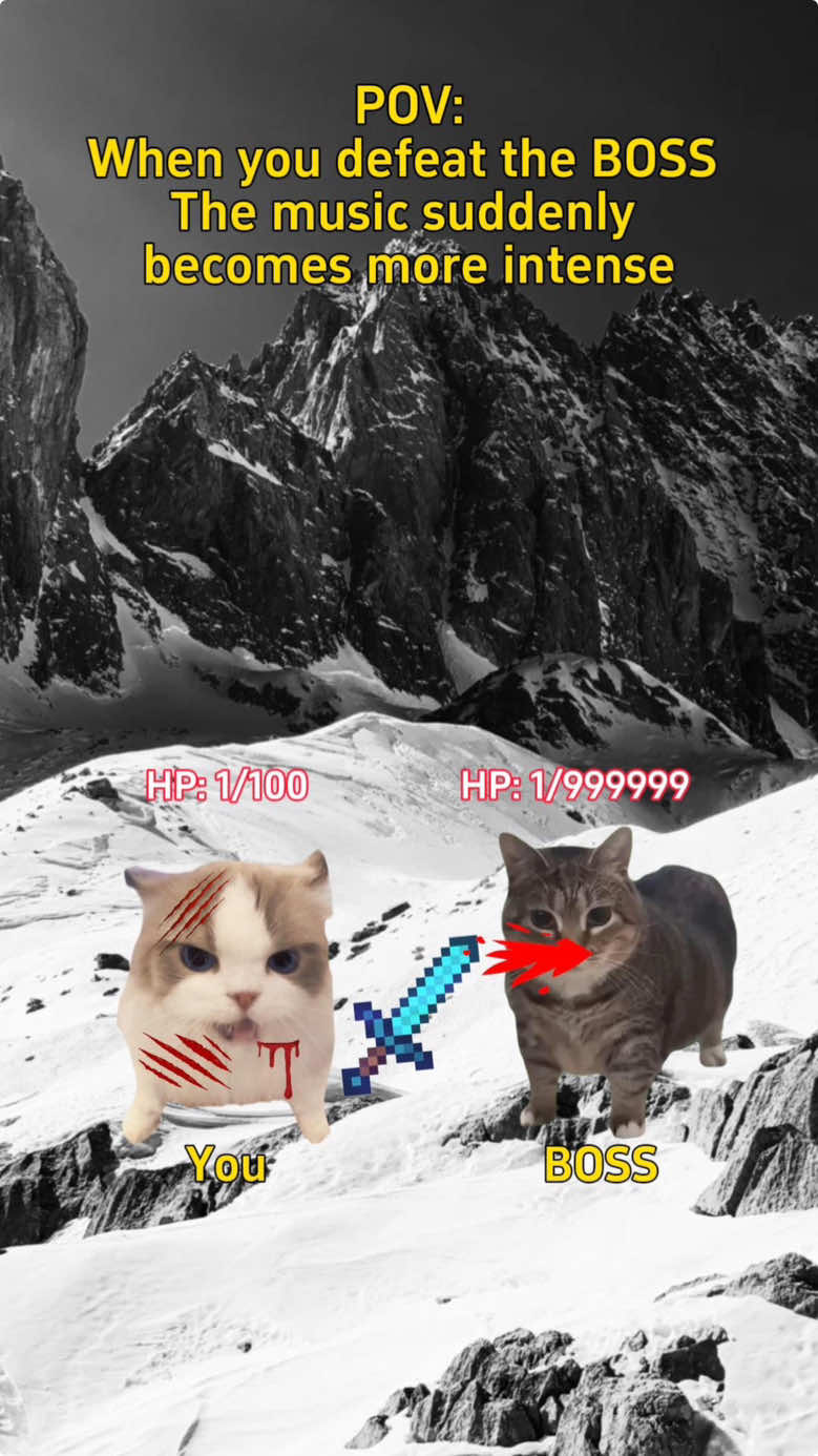 When you defeat the Boss,the music suddenly becomes more intense #catmeme #meme #catsoftiktok #Relationship 
