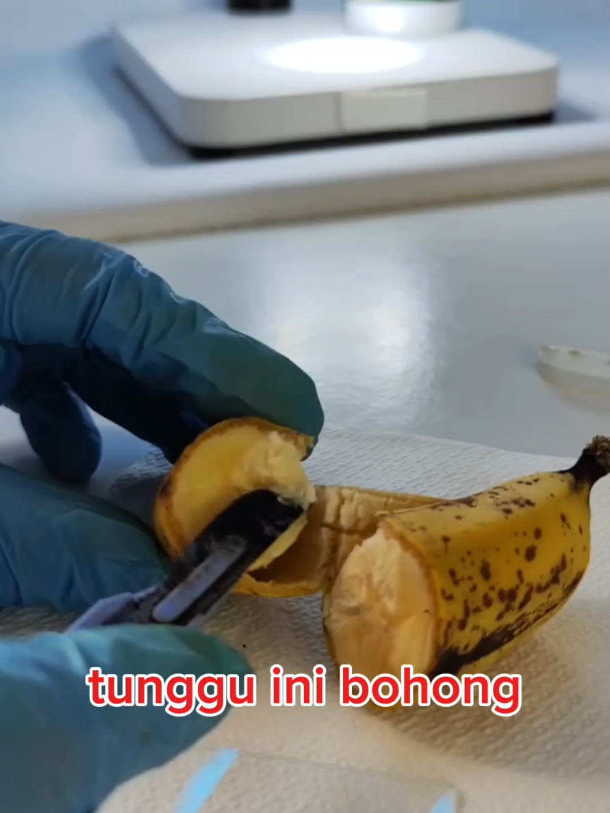 fake & real pisang banana under the microscope #buahbuahan #fruit 
